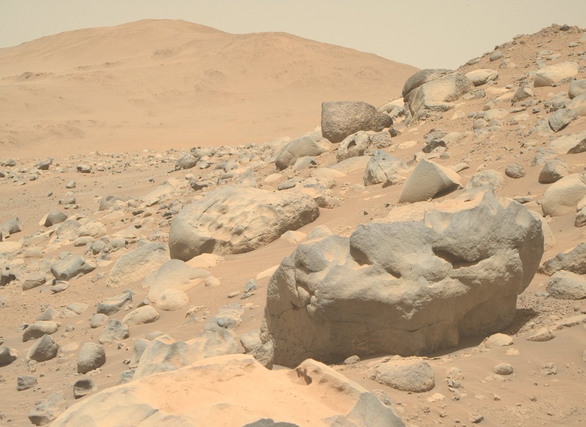 CerfiaFR's tweet photo. 📸 EN IMAGES | Certaines des dernières photos de Mars capturées par le rover #Perseverance de la #NASA. https://t.co/SilosLK1kS