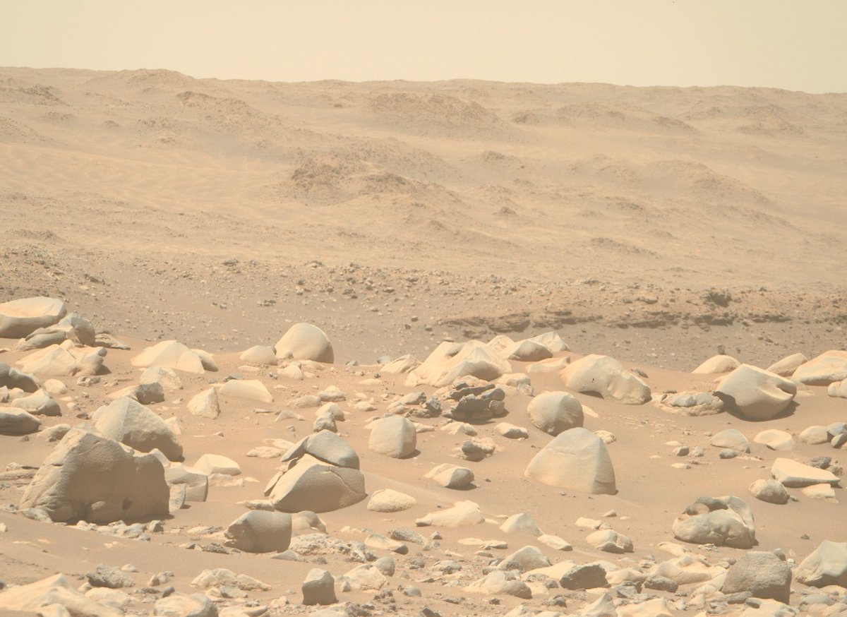 CerfiaFR's tweet photo. 📸 EN IMAGES | Certaines des dernières photos de Mars capturées par le rover #Perseverance de la #NASA. https://t.co/SilosLK1kS