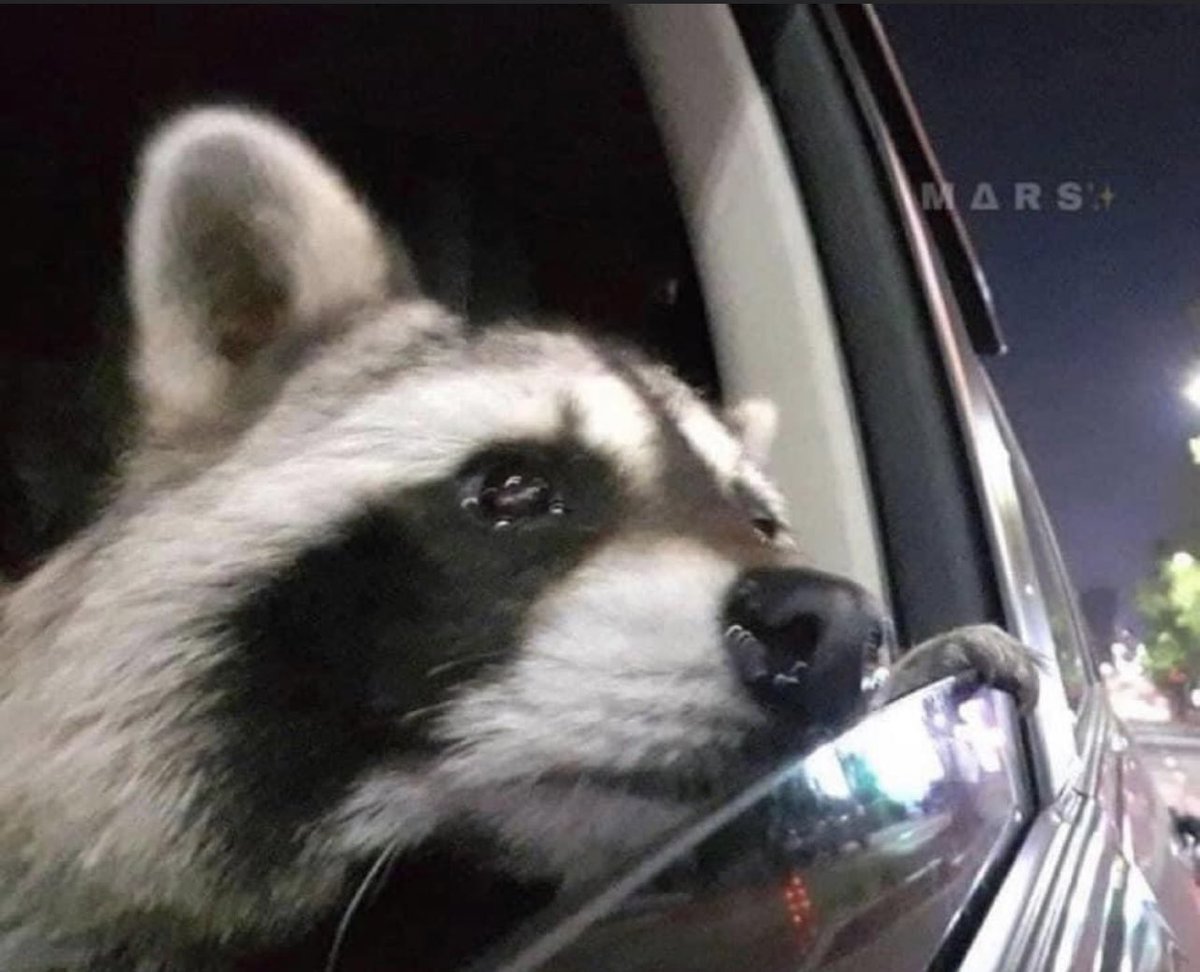 me when he says he likes crazy girls but gets mad when I act crazy