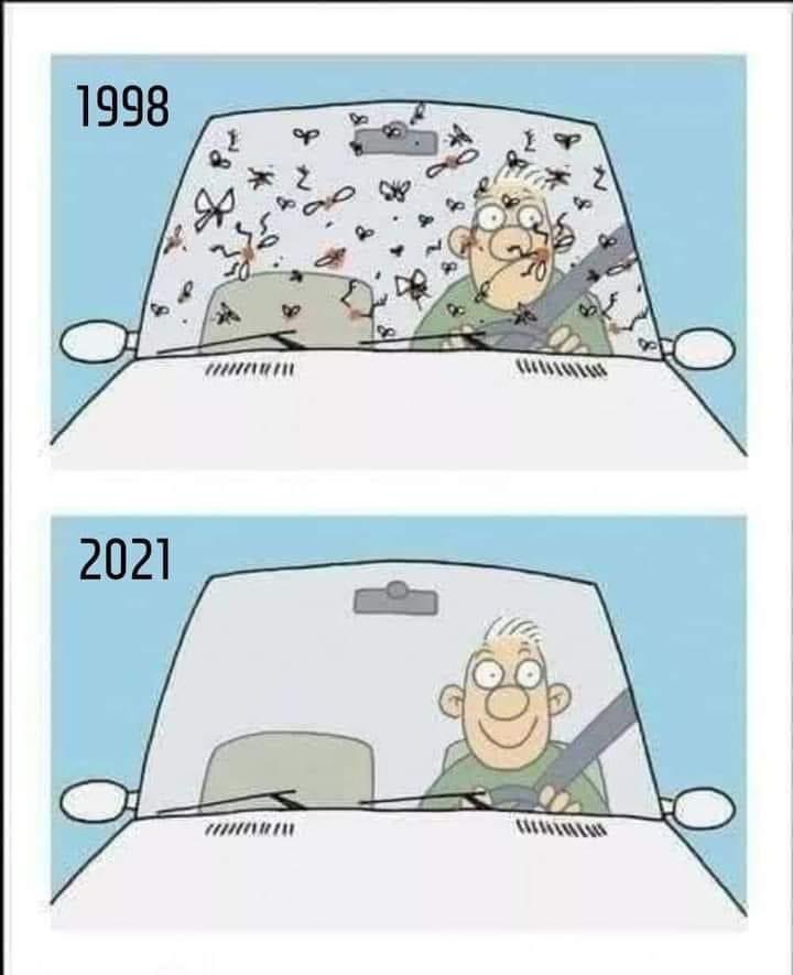 O que os pára-brisas limpos revelam sobre a crise dos insetos!

A diminuição de insetos nos pára-brisas em viagens pelas estradas é um fenômeno que vem sendo observado em vários países do mundo. Esse fato pode parecer uma boa notícia para os motoristas, que não precisam mais