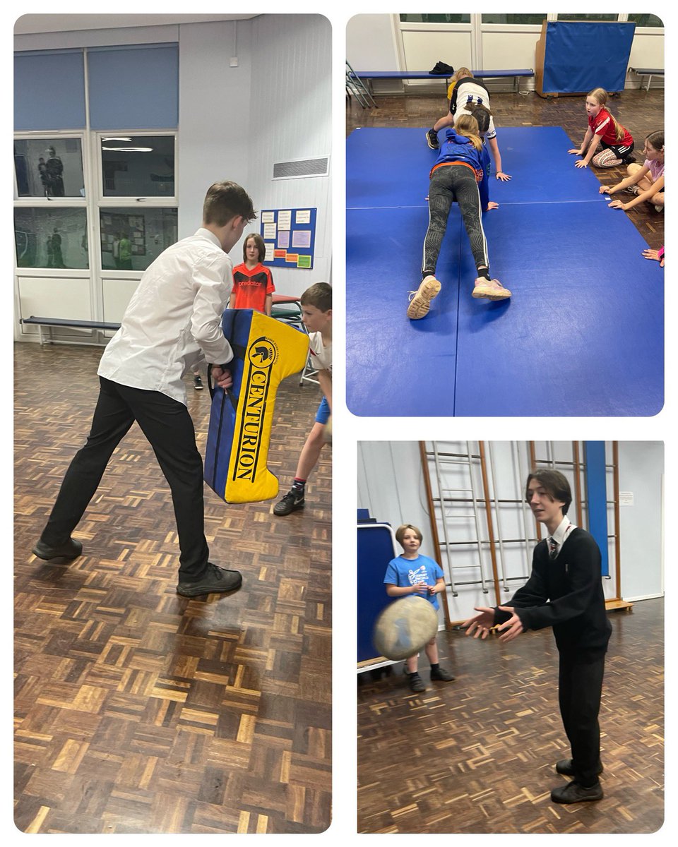 shireoak tweet media