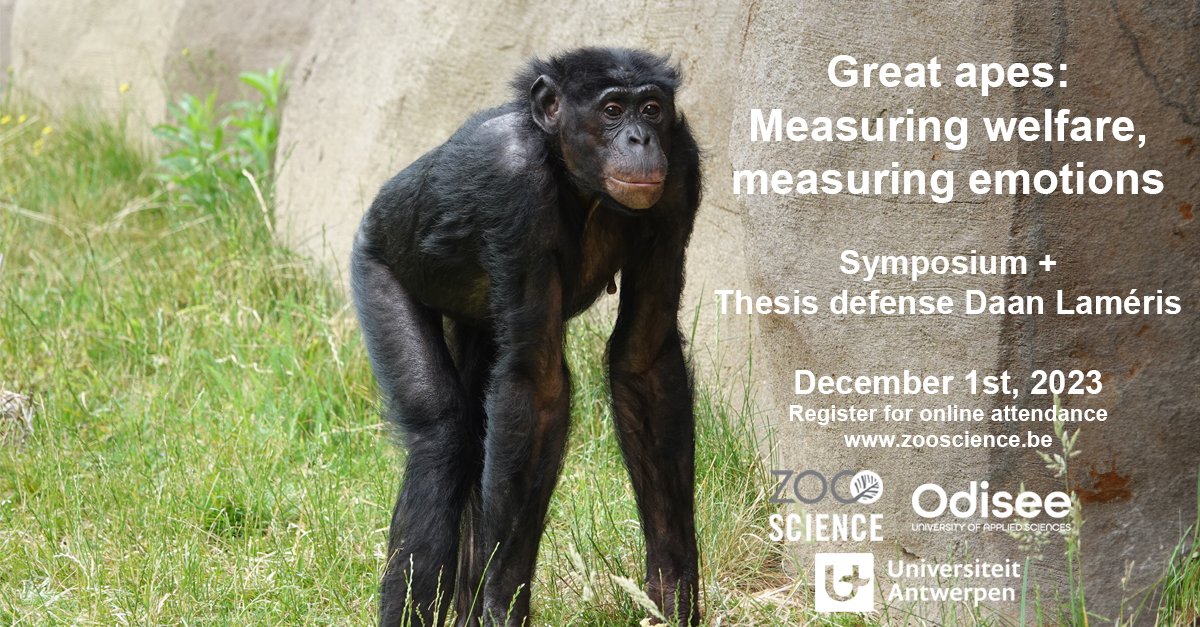 On December 1st, 2023 we organise a symposium about measuring welfare and measuring emotions in great apes, to celebrate the public defense PhD Student @dwlameris . The room in Antwerp Zoo is fully booked, but you can still register for online attendance