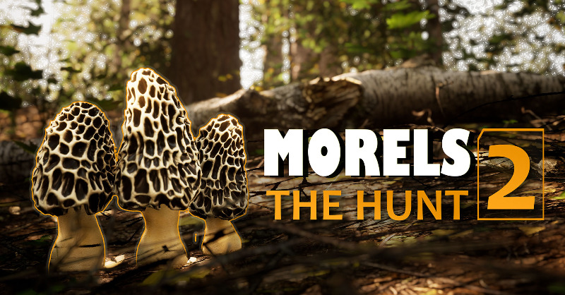 AbramsStudios's tweet photo. 'Morels: The Hunt 2' Combines Mushroom Hunting and Wildlife Photography into One Game