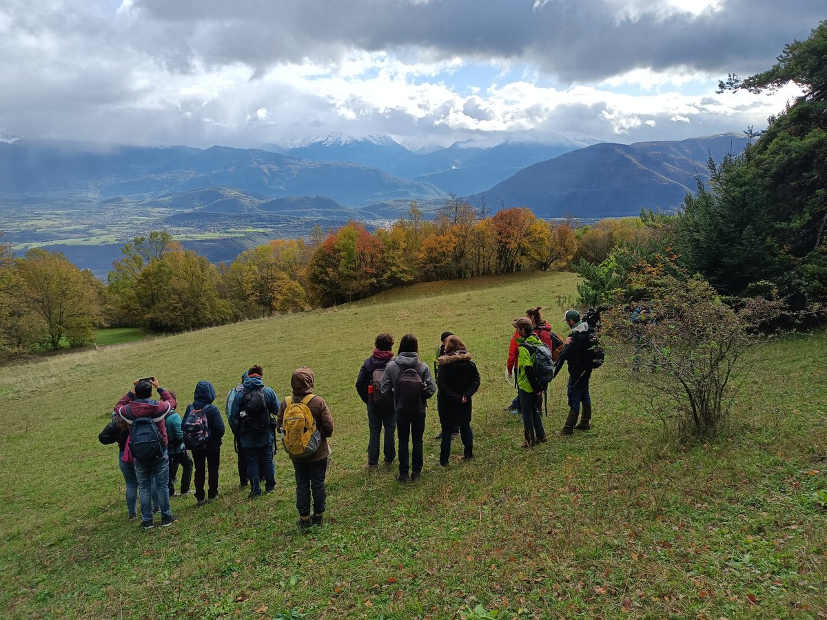 Laboratoire d'Ecologie Alpine tweet media