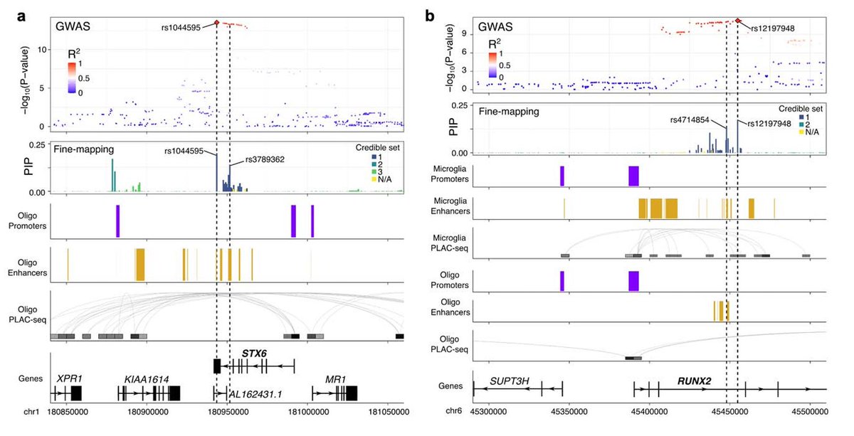 Jack Humphrey tweet media
