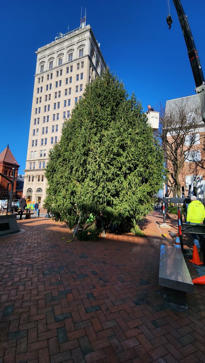 Lancaster's Christmas tree has just arrived at Penn Square. 40 ft. tall spruce from Mt. Joy 🌲