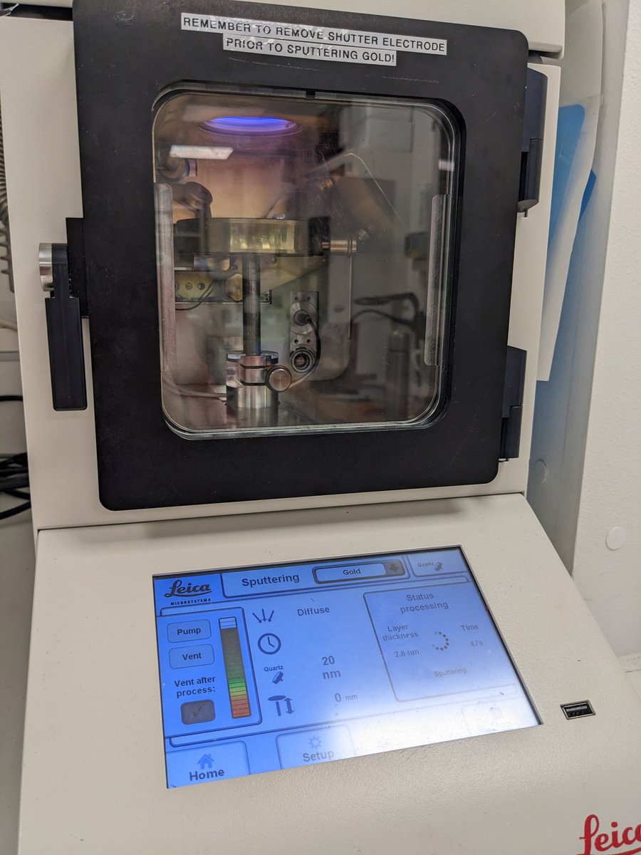 SorenGrubb's tweet image. Gold plating in process! 😁 Stay tuned for more EM data. #ElectronMicroscopy #neuroscience #EM_monday #CFIM