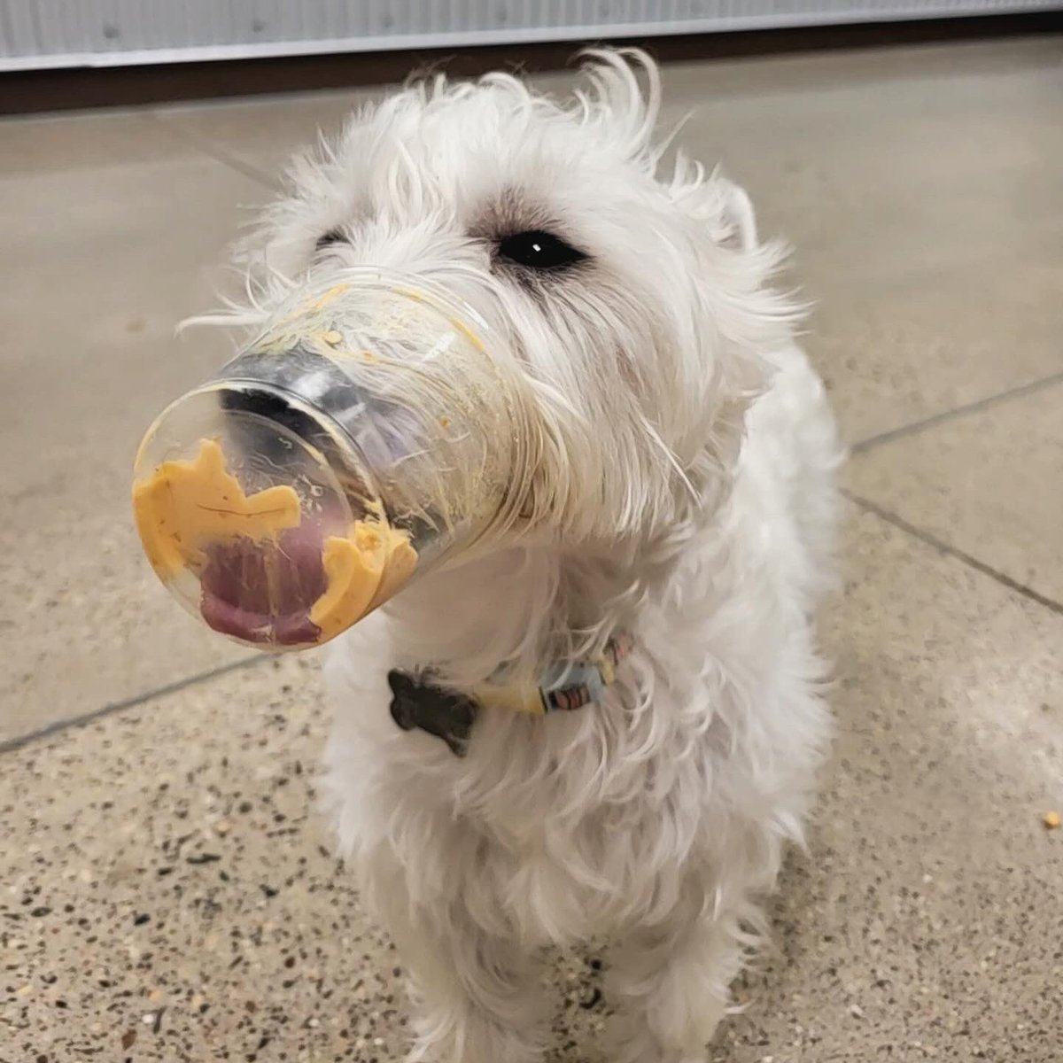 cbwedenprairie's tweet photo. Our story and treat time on Tuesday was super cute! 📖🧁 https://t.co/nV8CEVR0ep