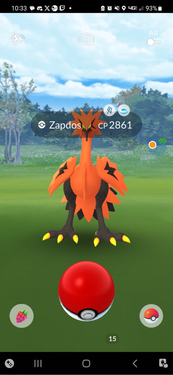 madlyinvincible's tweet image. I have now missed 2 galarian birds #devasted