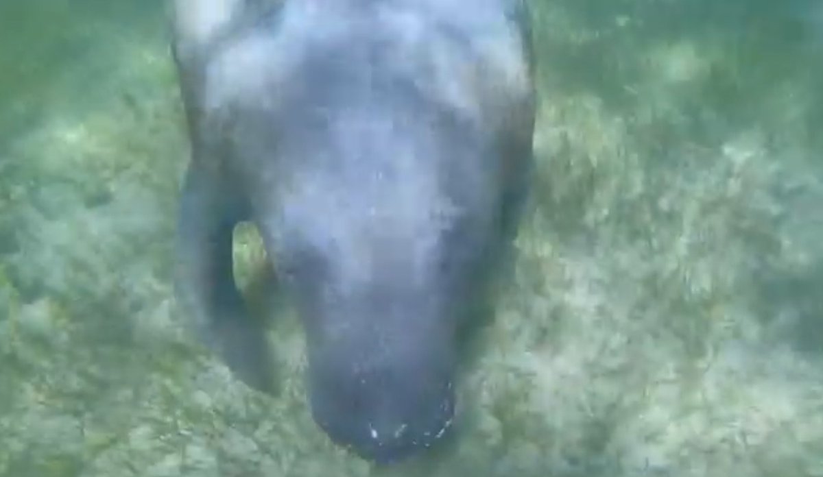 Miami -it's only the opening act🇩🇰🇺🇸🇸🇪🏳️‍🌈 tweet media