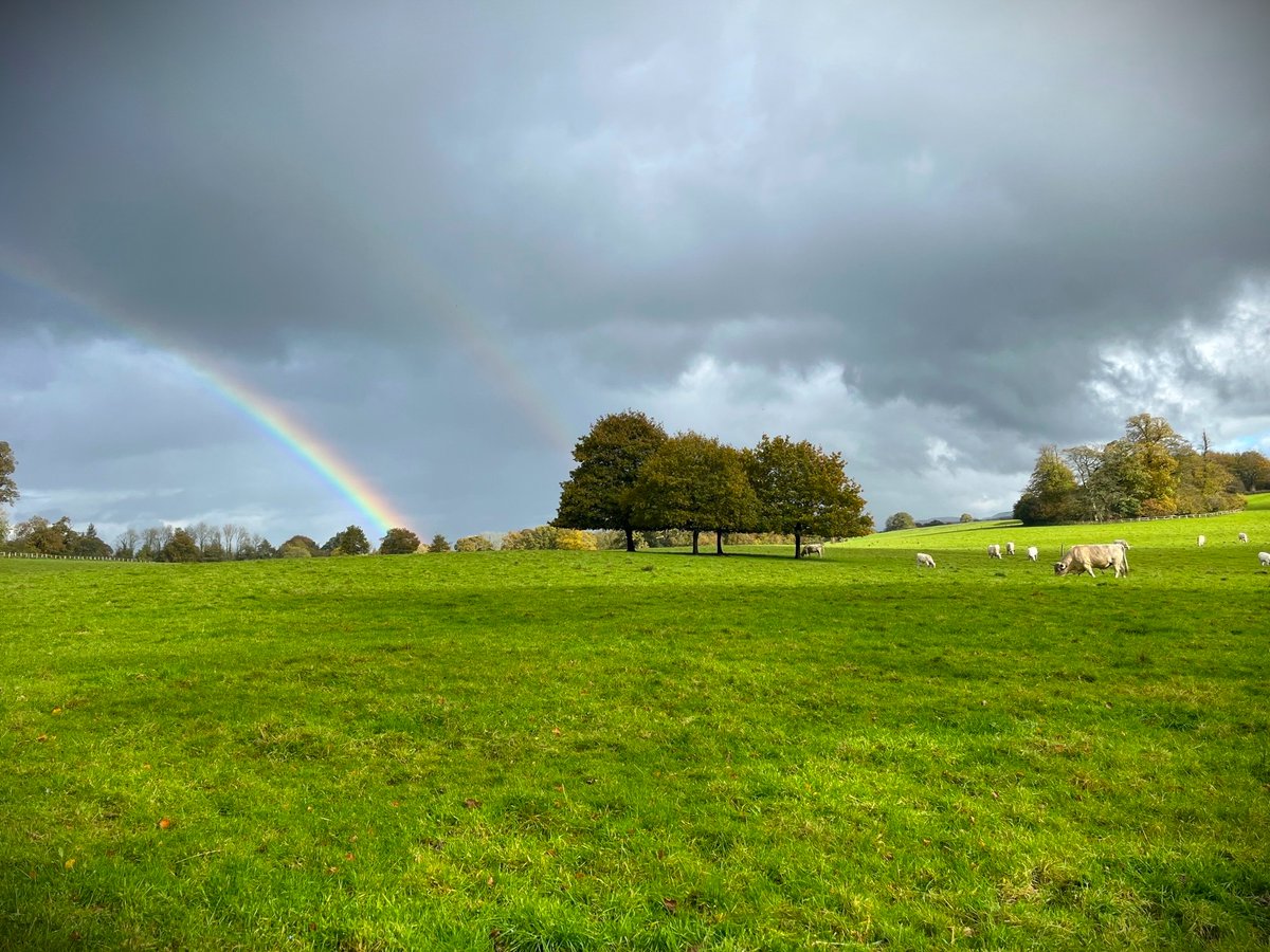 🌈 Y teimlad hwnnw o lawenydd pan welwch enfys drwy doriad yn y glaw. Dinefwr #TymorEnfys