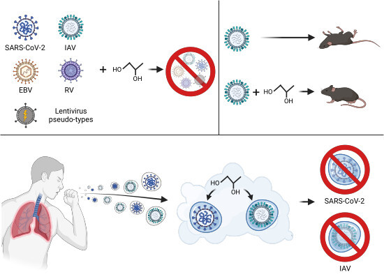 EMBO Mol. Medicine (@embomolmed) on Twitter photo Online today 👉 #PropyleneGlycol inactivates respiratory viruses and prevents airborne transmission
By C. Styles, <a href="/RachelSEdgar/">Rachel Edgar 💙</a> & colleagues
🗞️doi.org/10.15252/emmm.…
Read also related News & Views by I. Glas & S. David
🗞️doi.org/10.15252/emmm.… Online today 👉 #PropyleneGlycol inactivates respiratory viruses and prevents airborne transmission
By C. Styles, <a href="/RachelSEdgar/">Rachel Edgar 💙</a> & colleagues
🗞️doi.org/10.15252/emmm.…
Read also related News & Views by I. Glas & S. David
🗞️doi.org/10.15252/emmm.…