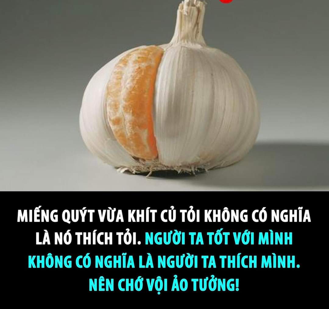 stev (@kkzoneholding) on Twitter photo 