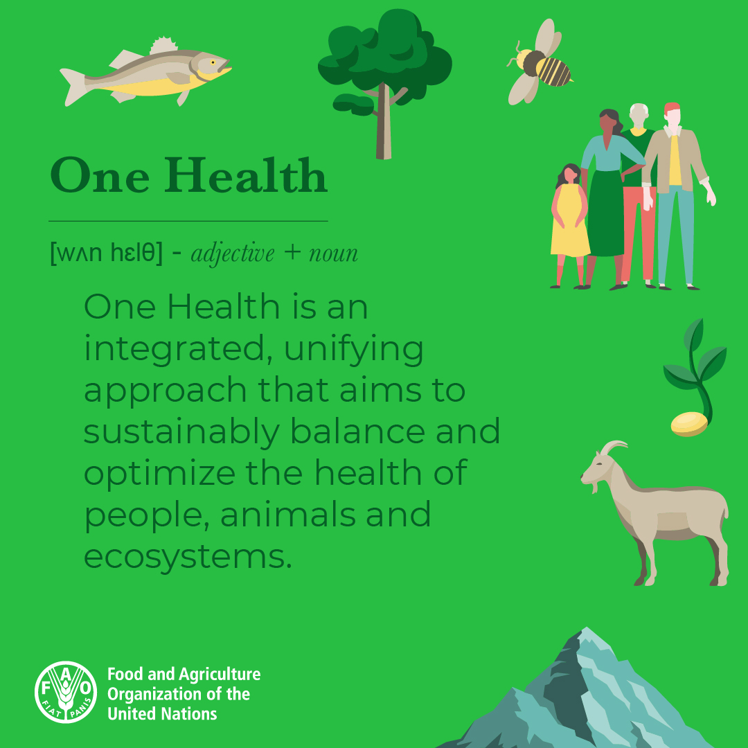 Human, animal, plant &amp; environmental health are all inextricably linked.  

This means that to address global health issues, like #AntimicrobialResistance, we must collaborate across all sectors.  

A #OneHealth approach is key.

But what is One Health exactly?