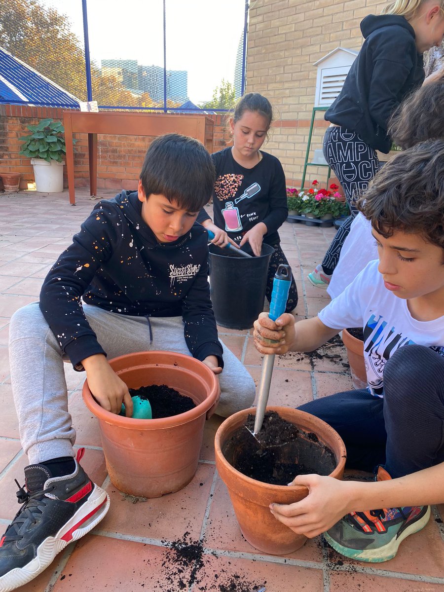 Escola PROVENÇALS tweet media