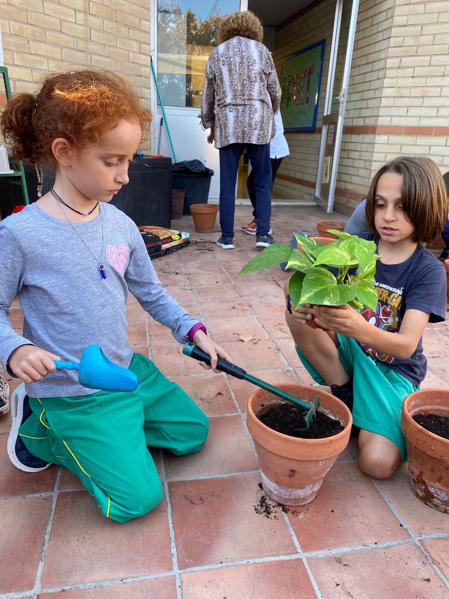Escola PROVENÇALS tweet media