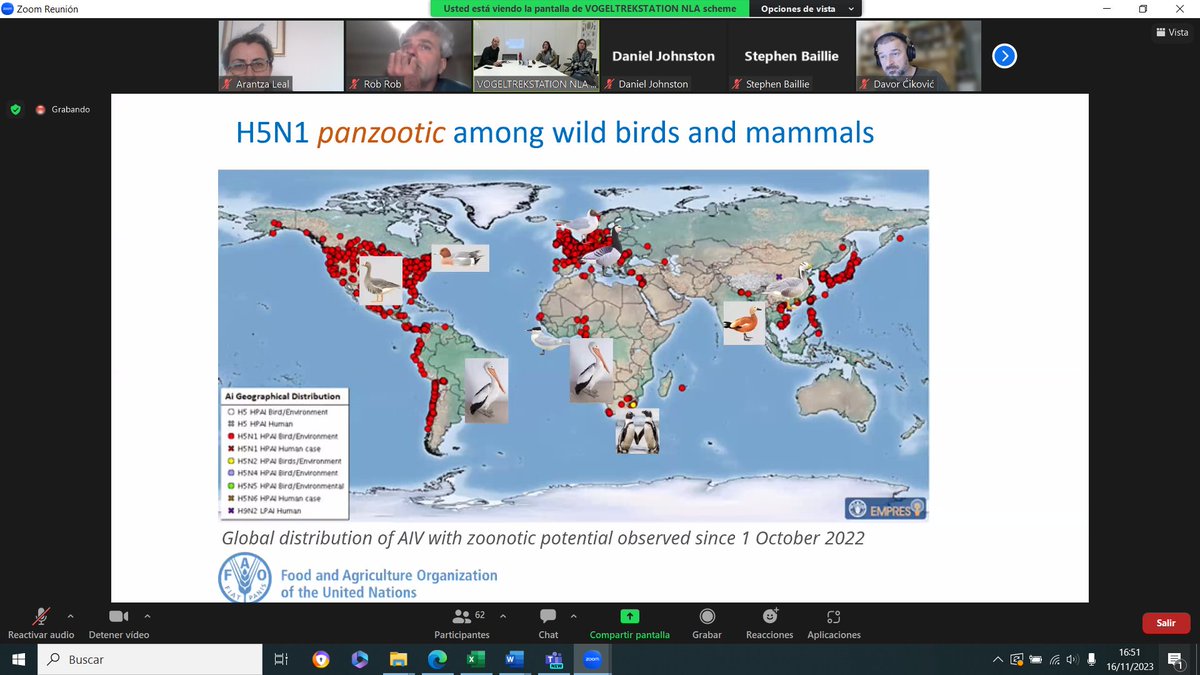 Anillamiento_SEO tweet media