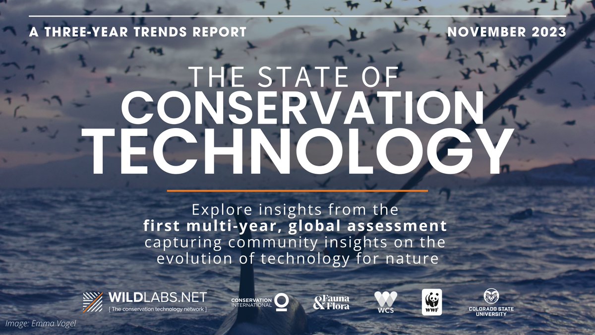 📢 Our State of Conservation Technology 2023 report is live! This 3-year trends analysis delivers insights for the first time into evolving perceptions and engagement in the #tech4wildlife space globally. Here are five key insights from the research 🧵 

wildlabs.net/state-conserva…