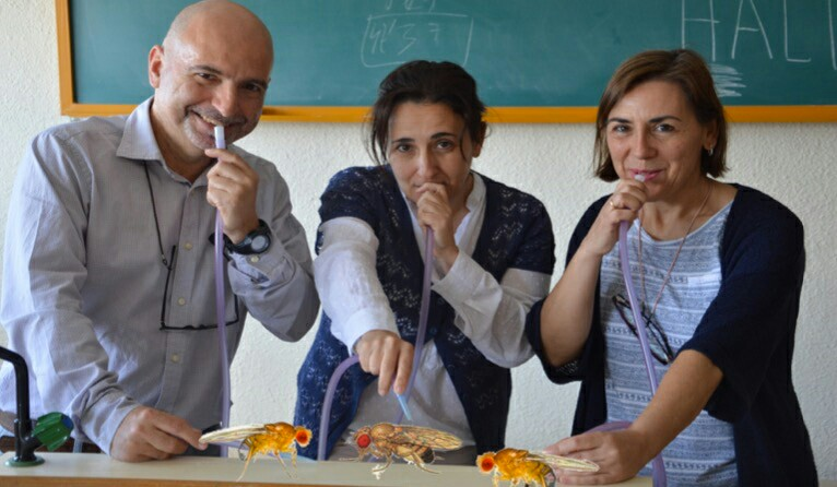 LaCiènciaAlTeuMón (@lcatmon) on Twitter photo #CastillaLaMancha dará 36 galardones en el Día de la Enseñanza
👏Felicidades a José Luis Olmo #IES Azuer #Manzanares #CiudadReal y a Ma Josefa, Ma Luisa y Antonio del <a href="/IESEladio/">IES Eladio Cabañero</a> #Tomelloso, participantes activos junto a su alumnado en #MelanogasterCTF #CienciaCiudadana en #CastillaLaMancha dará 36 galardones en el Día de la Enseñanza
👏Felicidades a José Luis Olmo #IES Azuer #Manzanares #CiudadReal y a Ma Josefa, Ma Luisa y Antonio del <a href="/IESEladio/">IES Eladio Cabañero</a> #Tomelloso, participantes activos junto a su alumnado en #MelanogasterCTF #CienciaCiudadana en