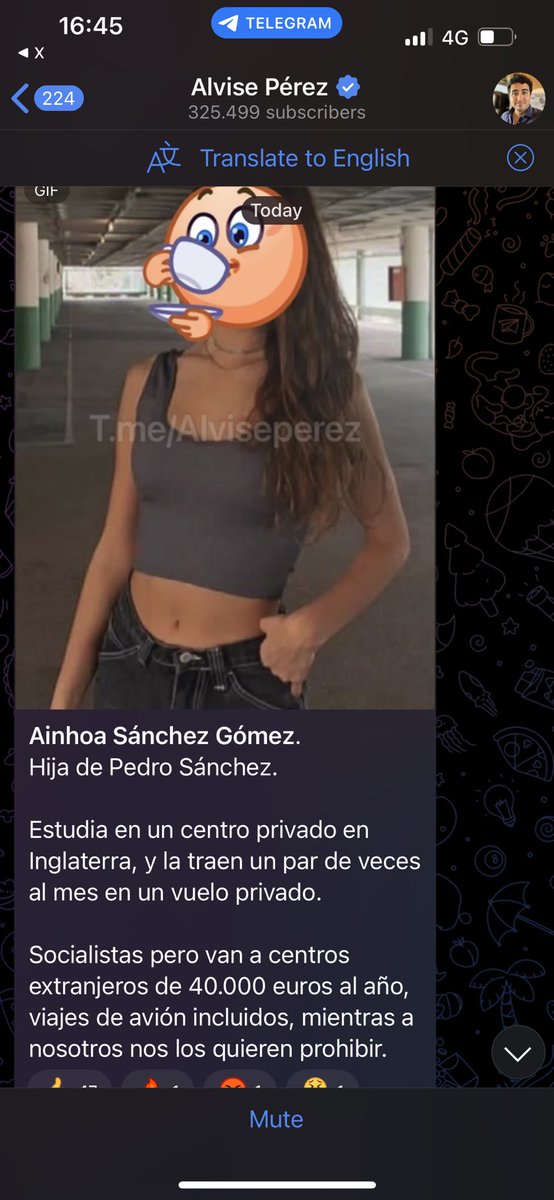 Álex K 🏎️🇪🇸 tweet media
