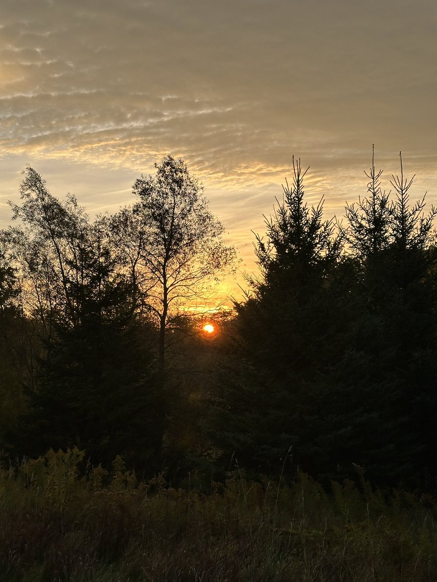 Mr. David Cruz tweet media