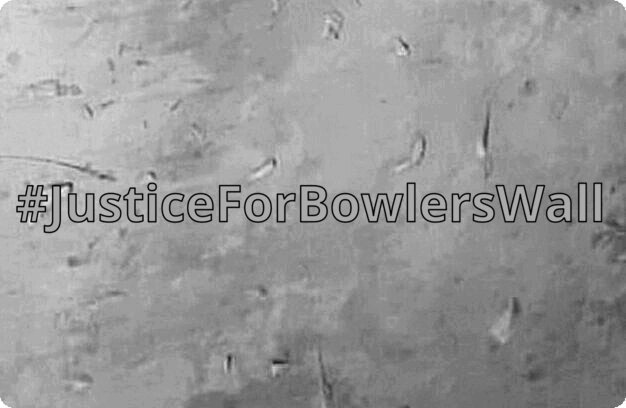BowlersWall's tweet photo. Bowlers back on social media, let's get him to celebrate by decorating me! https://t.co/c9pZbUh781