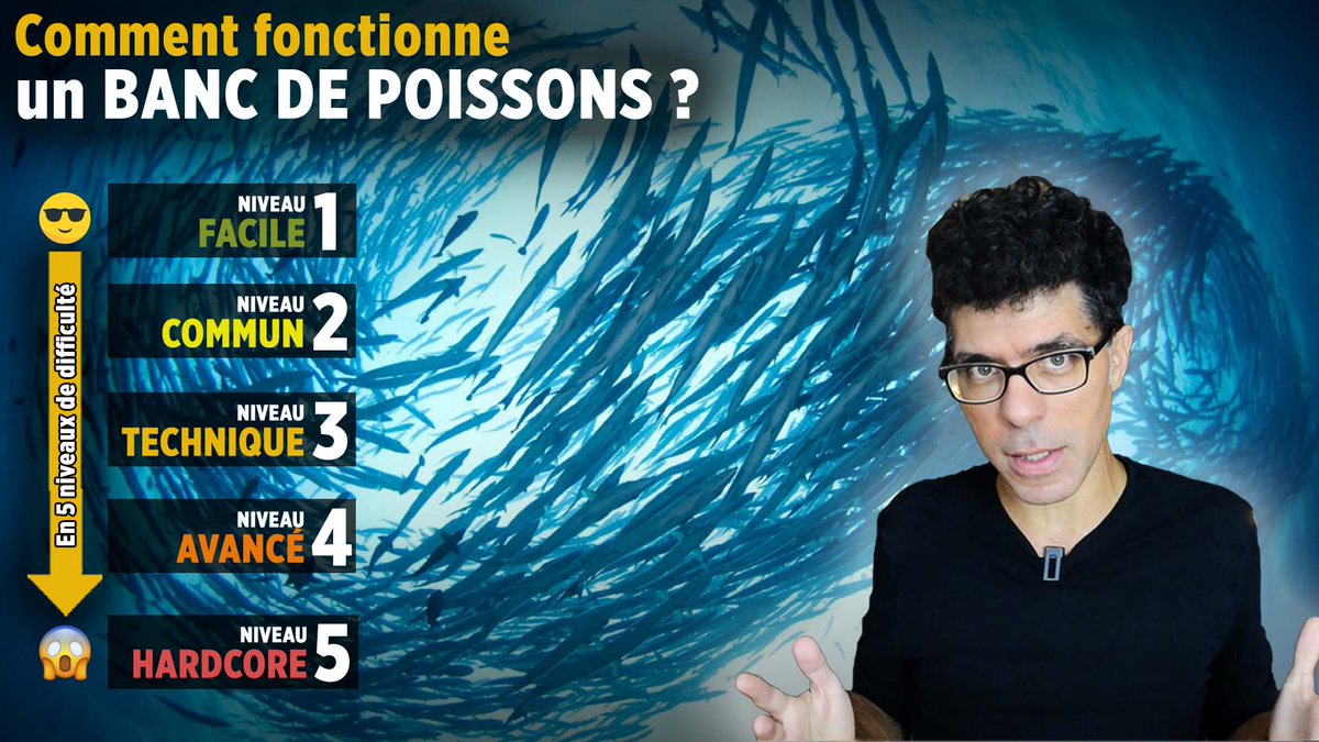 ▶️ NOUVELLE VIDÉO ! ◀️
Je me suis lancé un défi : prendre un sujet scientifique et le vulgariser en 5 niveaux de difficulté... Et je me suis tellement galéré 😂!

Bref, le résultat est sur ma chaîne YouTube : youtu.be/Ch7VxxTBe1c 
Bon visionnage !