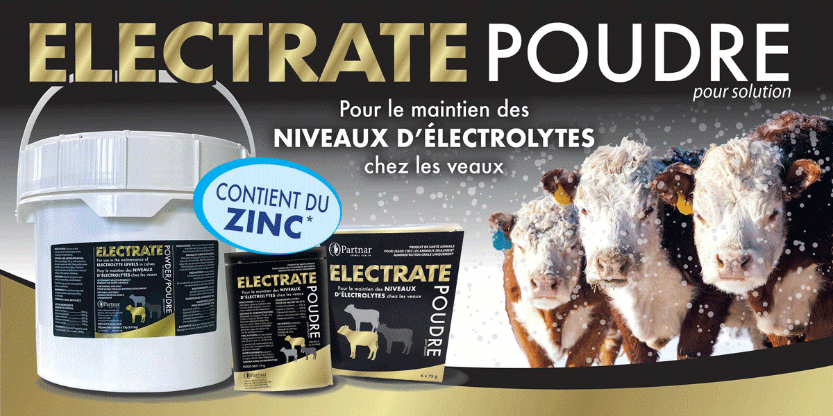 PartnarAH's tweet photo. Saviez-vous que la poudre Electrate contient du zinc ? Une étude de l'UC Davis a révélé qu'une supplémentation en zinc chez les #veaux souffrant de #diarrhée empêchait non seulement la perte de poids, mais était associée à une prise de poids. Pour usage vétérinaire seulement https://t.co/cmP9oDp6FH