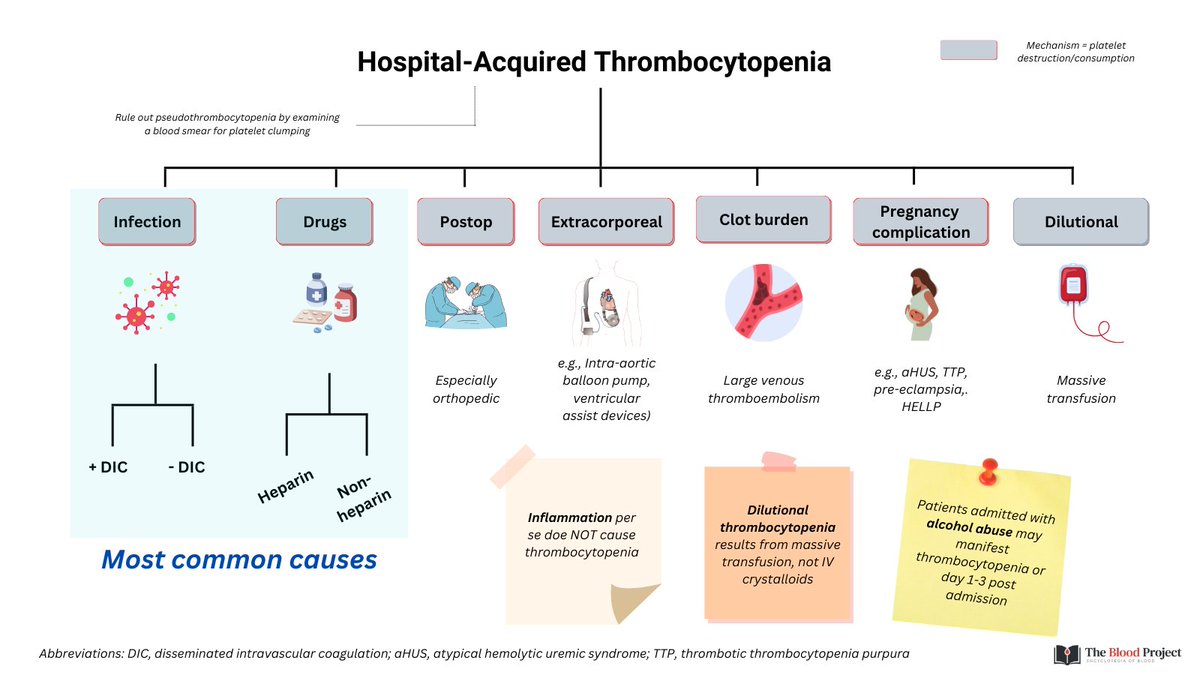 INPATIENT THROMBOCYTOPENIA One of the more straightforward consults is the inpatient with de novo thrombocytopenia. Why? Because the VAST majority of cases are due to infection or medications. Those that are not can make things interesting!