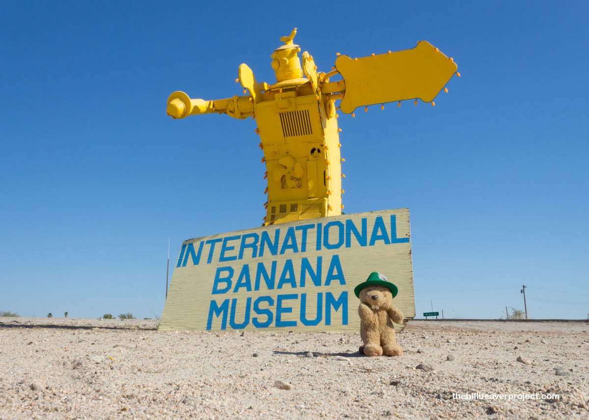 localBuddygo's tweet image. 🤣 Fun Fact Alert! Did you know Clinton, New Jersey, has a museum entirely dedicated to bananas? 🍌🏛️ Discover this fruity fascination with Local Buddy - the app that finds the peelfect adventures! 🗺️ #BananaBonanza #ClintonComedy #LocalBuddyApp 🍌🤓😄