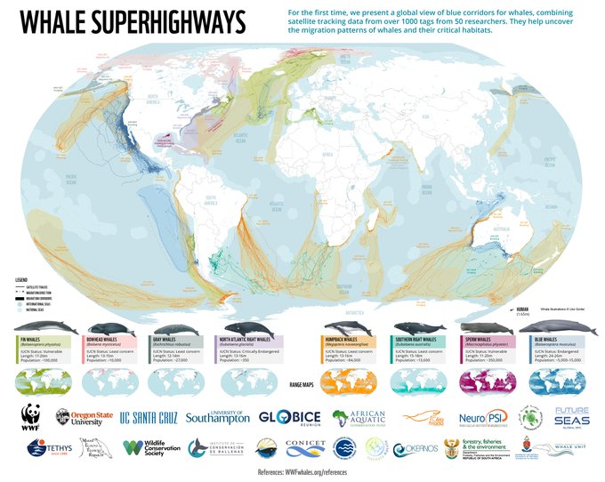 UNBiodiversity tweet picture