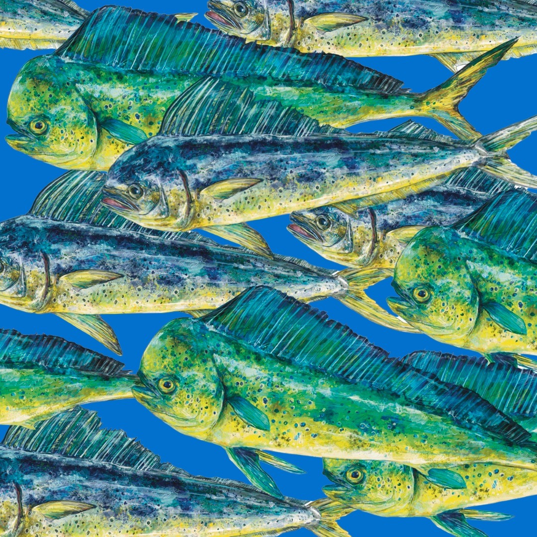 3️⃣ #Dataprep meetings in progress:
📌for #sardine in #AdriaticSea
📌for #Europeanhake in #AdriaticSea
📌for #commondolphinfish in #WesternMed & #CentralMed
#Dataprep meetings are the basis for decision-making on the future of #fisheries
#GFCM_SAC #MedSea4Fish