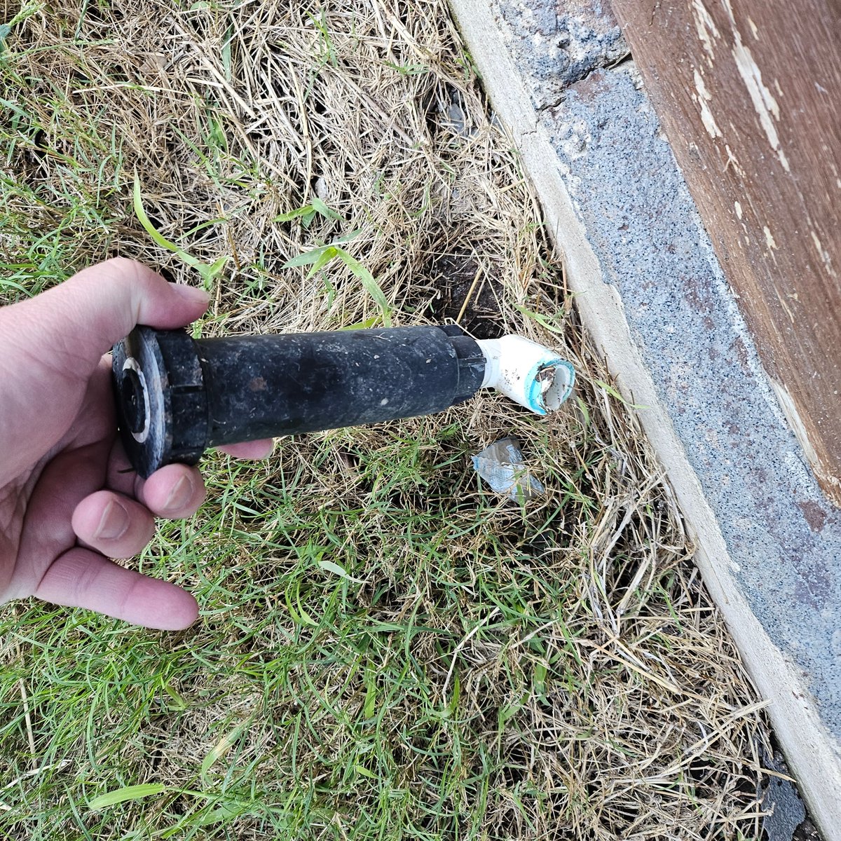 SAinspect tweet picture