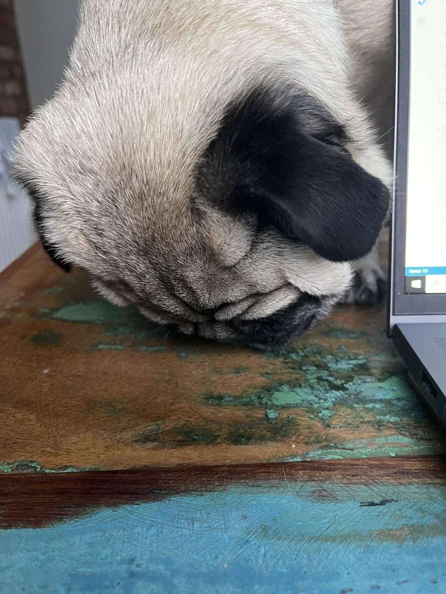 Breaching health *and* safety (the benches at the dining table seemed a good idea at the time. Didn’t think about the ramifications with pugs)