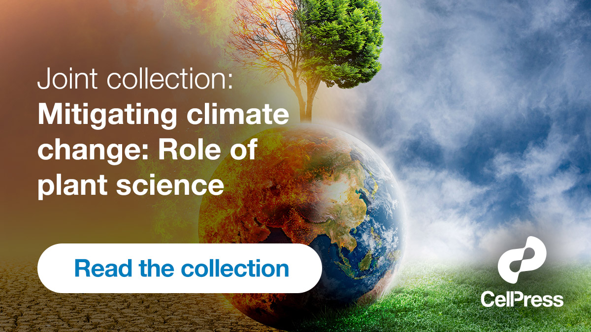 Read a new joint collection from #MolecularPlant, #PlantCommunications (@MPlantPCom) and @TrendsPlantSci
Mitigating climate change: Role of plant science
#climatechange #foodsecurity
hubs.li/Q0294XYz0