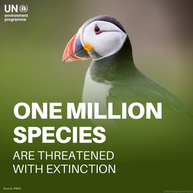 1 million out of an estimated 8 million species of plants and animals globally are threatened with extinction.

The Kunming-Montreal Global Biodiversity Framework is the world’s blueprint to halt &amp; reverse nature loss. unep.org/resources/kunm…

Via <a href="/UNEP/">UN Environment Programme</a>
