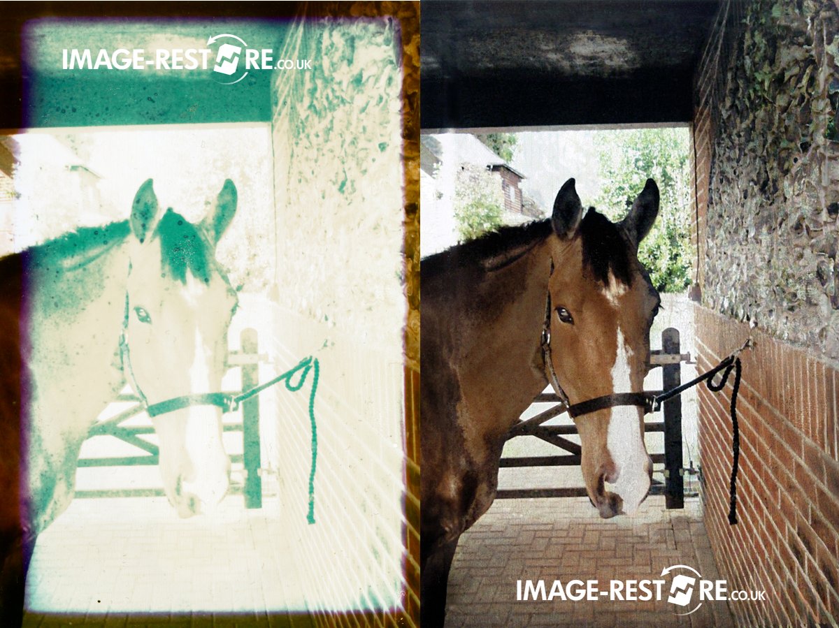 These horse photo restorations always seem to come out great! :) #photorestoration