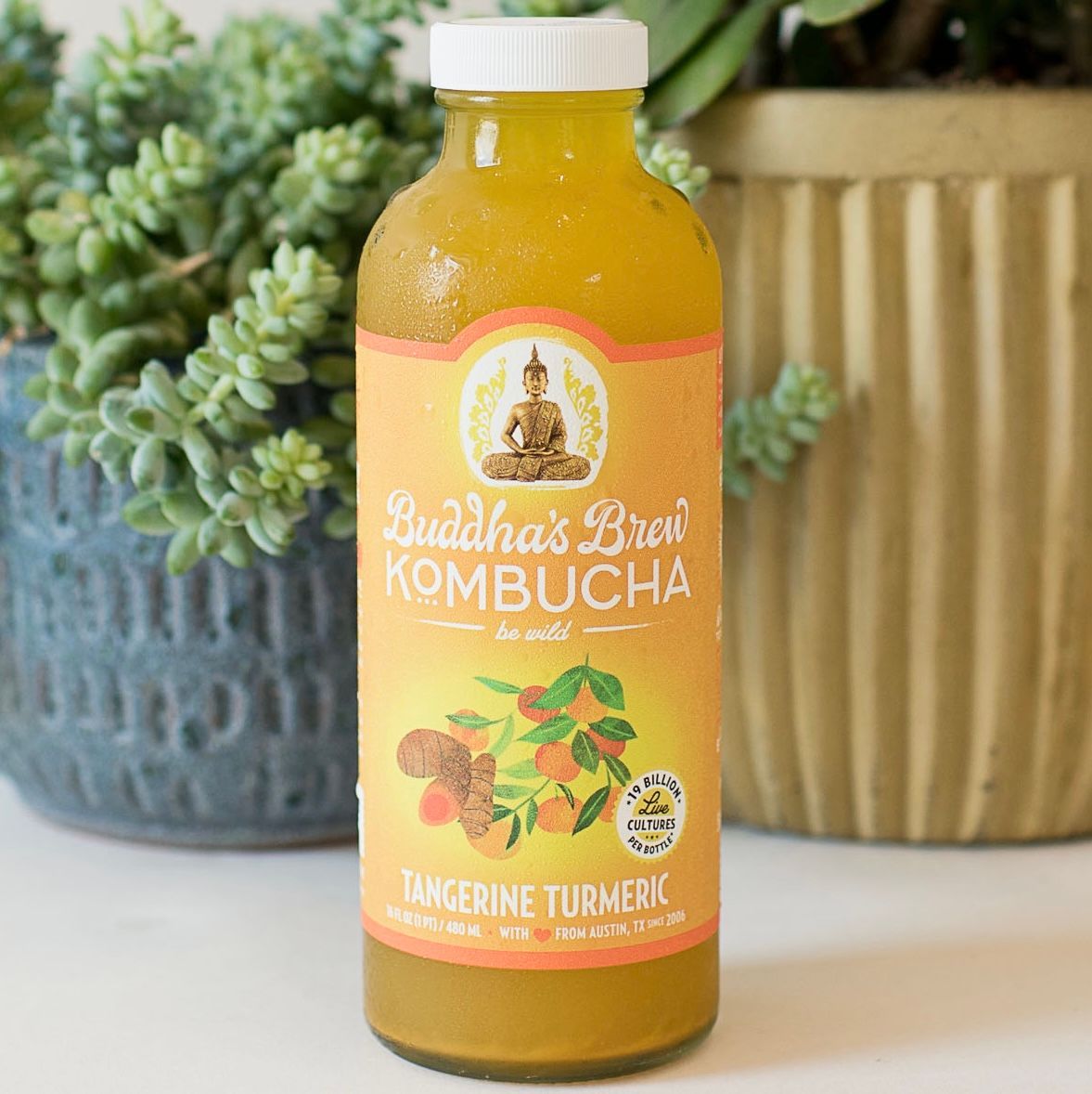 BuddhasBrew's tweet photo. Winter citrus is always delight, Tangerine Tumeric is a double orangey treat!

#Kombucha #Fermented #vegan #dairyfree #Probiotics #LiveCultures #kefir #BeWild #HealthyGut #Foodie #LocalFlavor #HealthyLiving #Brewery #OnTap #AustinHealth #AustinLife #AustinKombucha #ShopAustin https://t.co/eI8vXzgNTy
