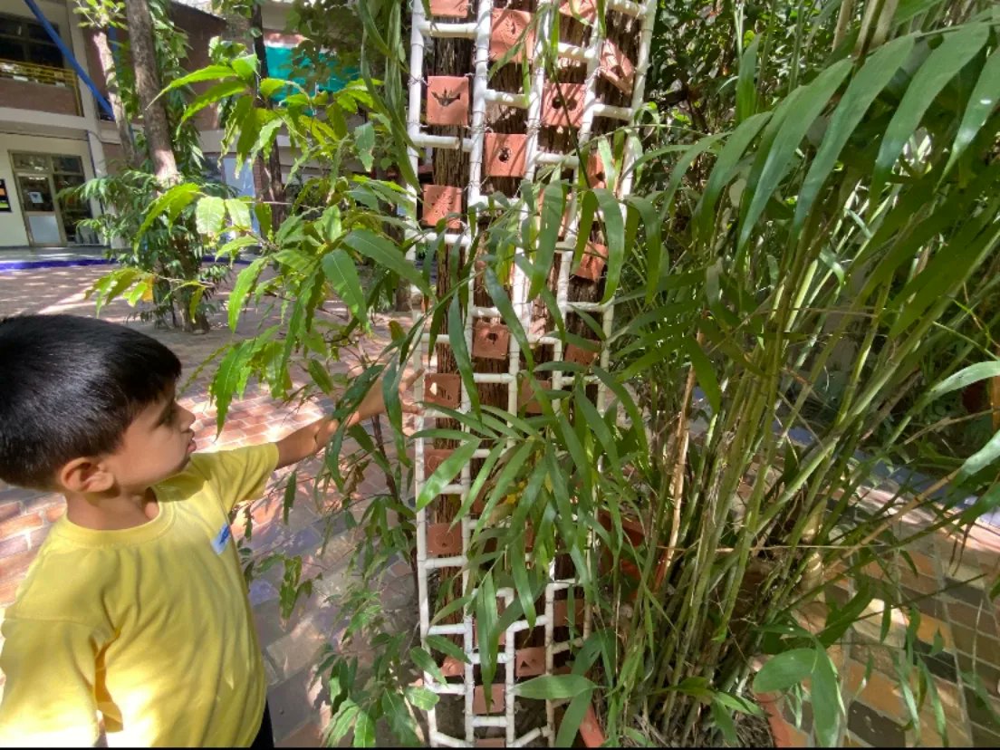 riversideindia's tweet photo. K2 students embarked on an amazing journey of exploration, observation, and experiences.
They discovered that patterns are repetitions that manifest in various ways, whether visually, auditorily, mathematically or even in human behavior. #ican #icanmindset https://t.co/Jooq8oMXOC