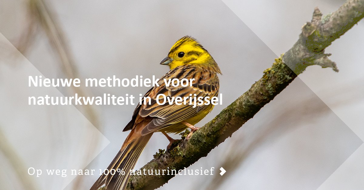 Hoe beoordeel je de basiskwaliteit van natuur in een gebied? Welke kenmerken moet het landschap hebben? In opdracht van de provincie Overijssel hebben we daarvoor een methodiek ontwikkeld. 👉 ow.ly/gENG50Q8lTV #BasiskwaliteitNatuur #Eelerwoude