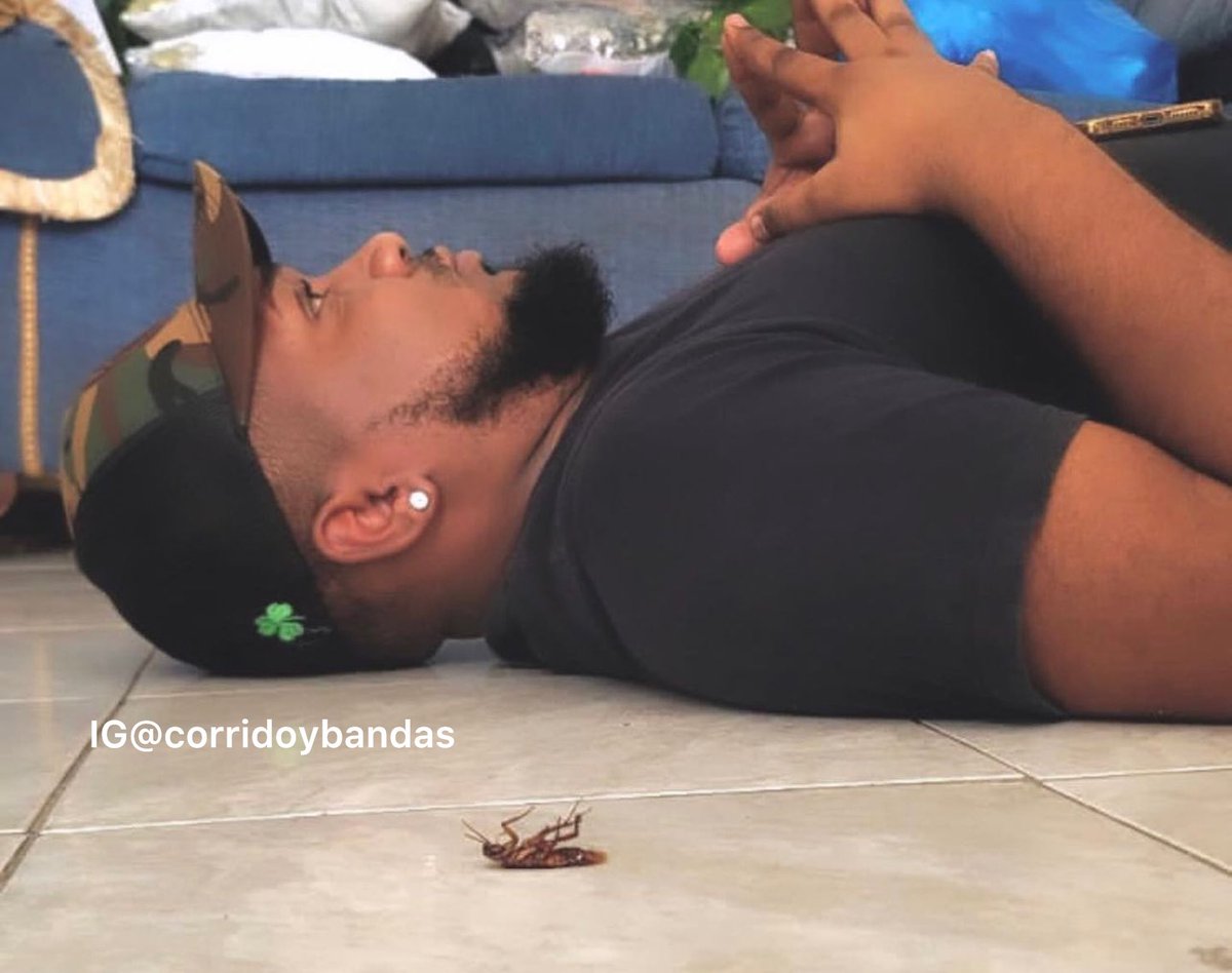 La cucaracha y yo pensando cómo vamos a conseguir dinero para Diciembre