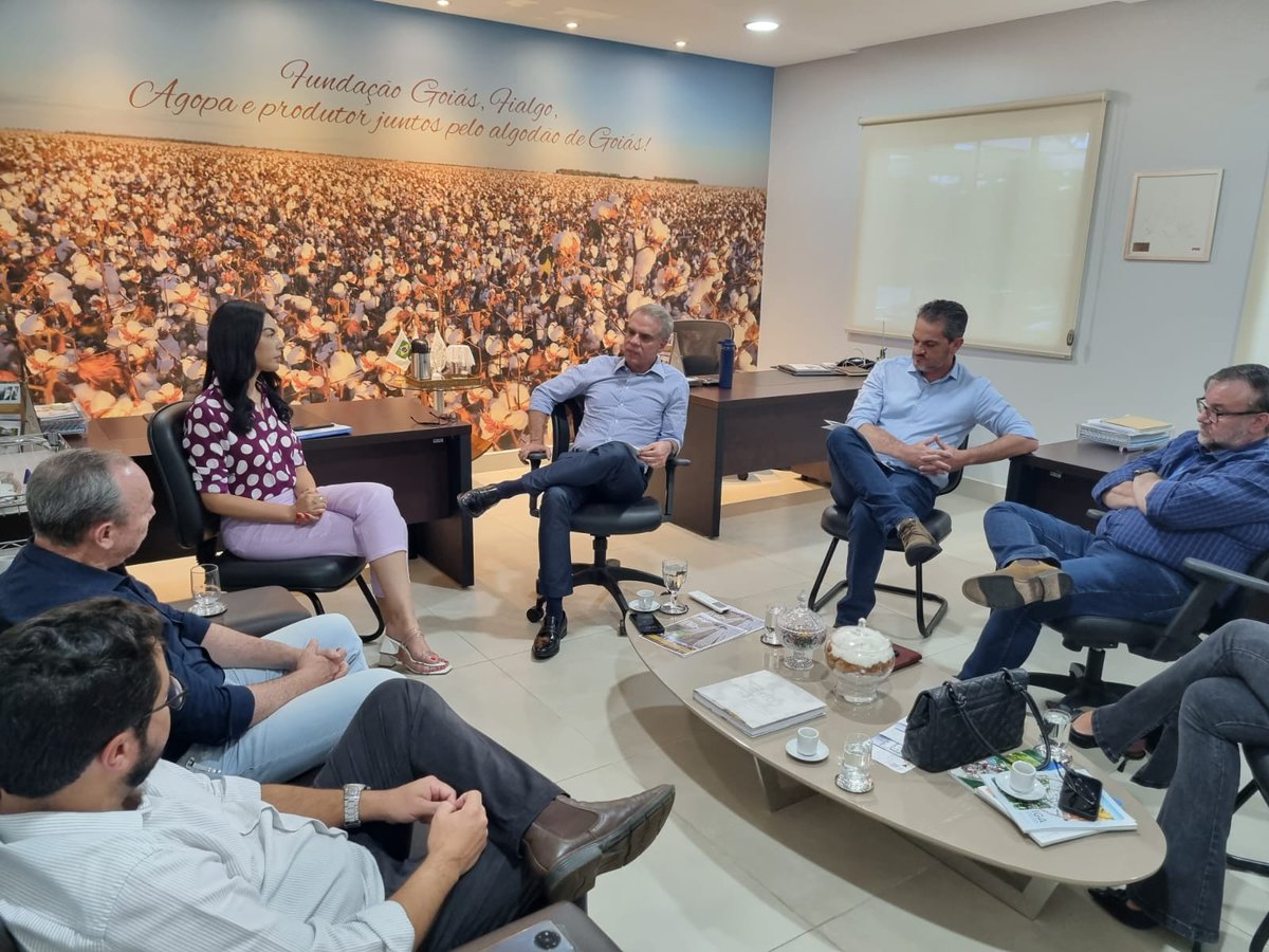 AGOPA Algodão tweet media