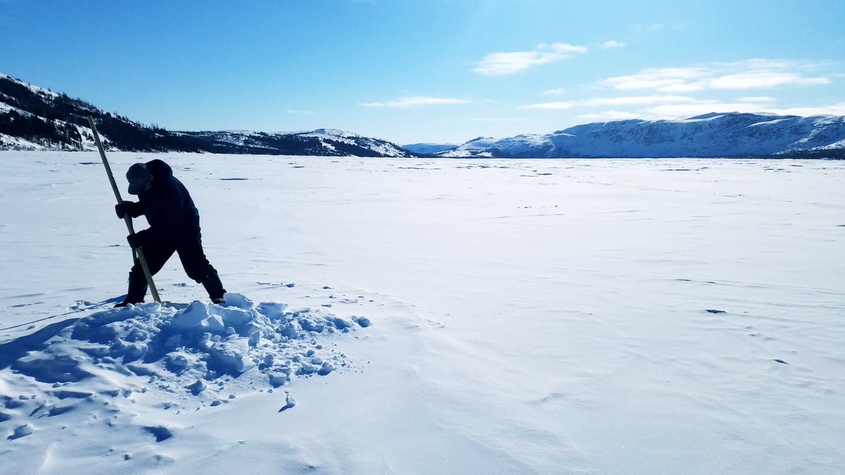 🐟Traditional Inuit fishing sites are linked to Arctic char habitat use. A fantastic collaboration with fishers allowed to characterize winter habitats.