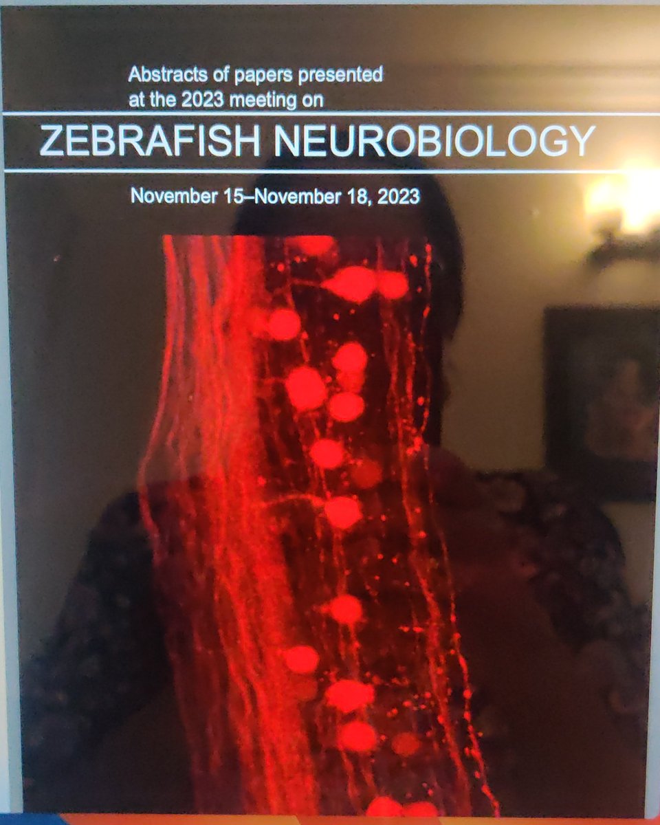 VatsalaT's tweet photo. Excited to be e-present at #CSHLzebrafish 2023. Fantastic line up of talks! Also excited that the abstract book cover page features image collected by our lab at CIFF @NCBS_Bangalore ! https://t.co/qEVw9DGxbb