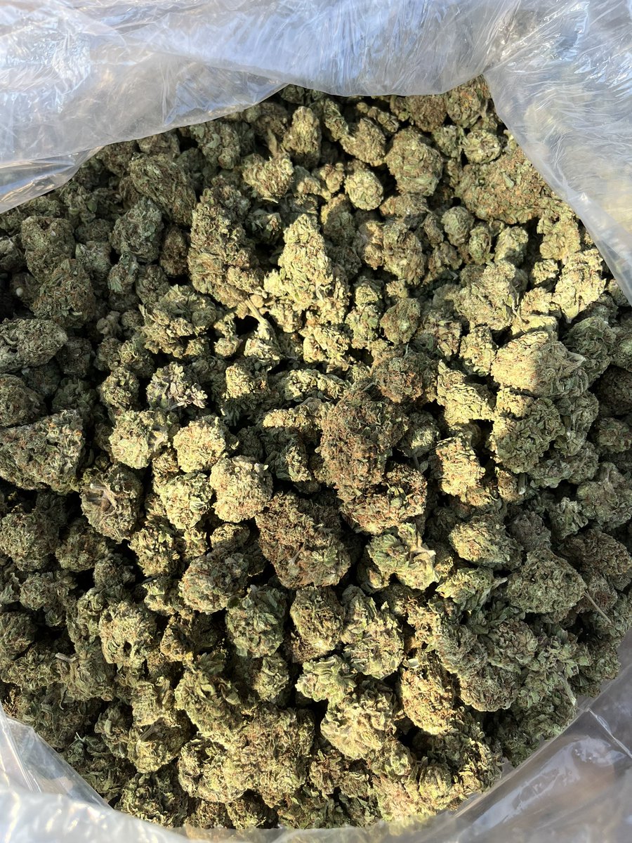 jonekush2 tweet media