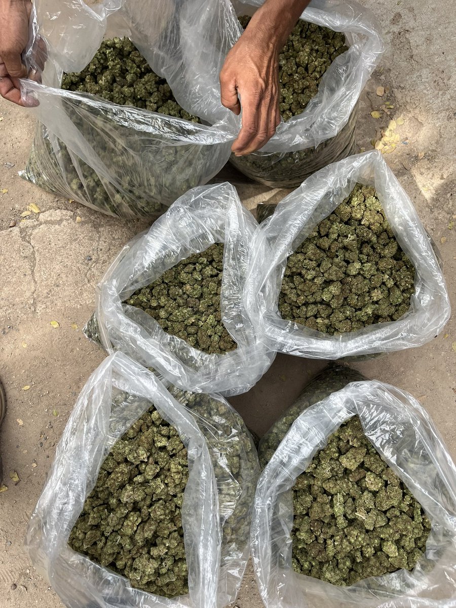 jonekush2 tweet media