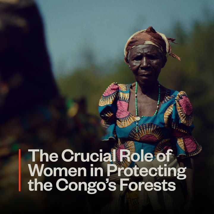 Age of Union tweet media