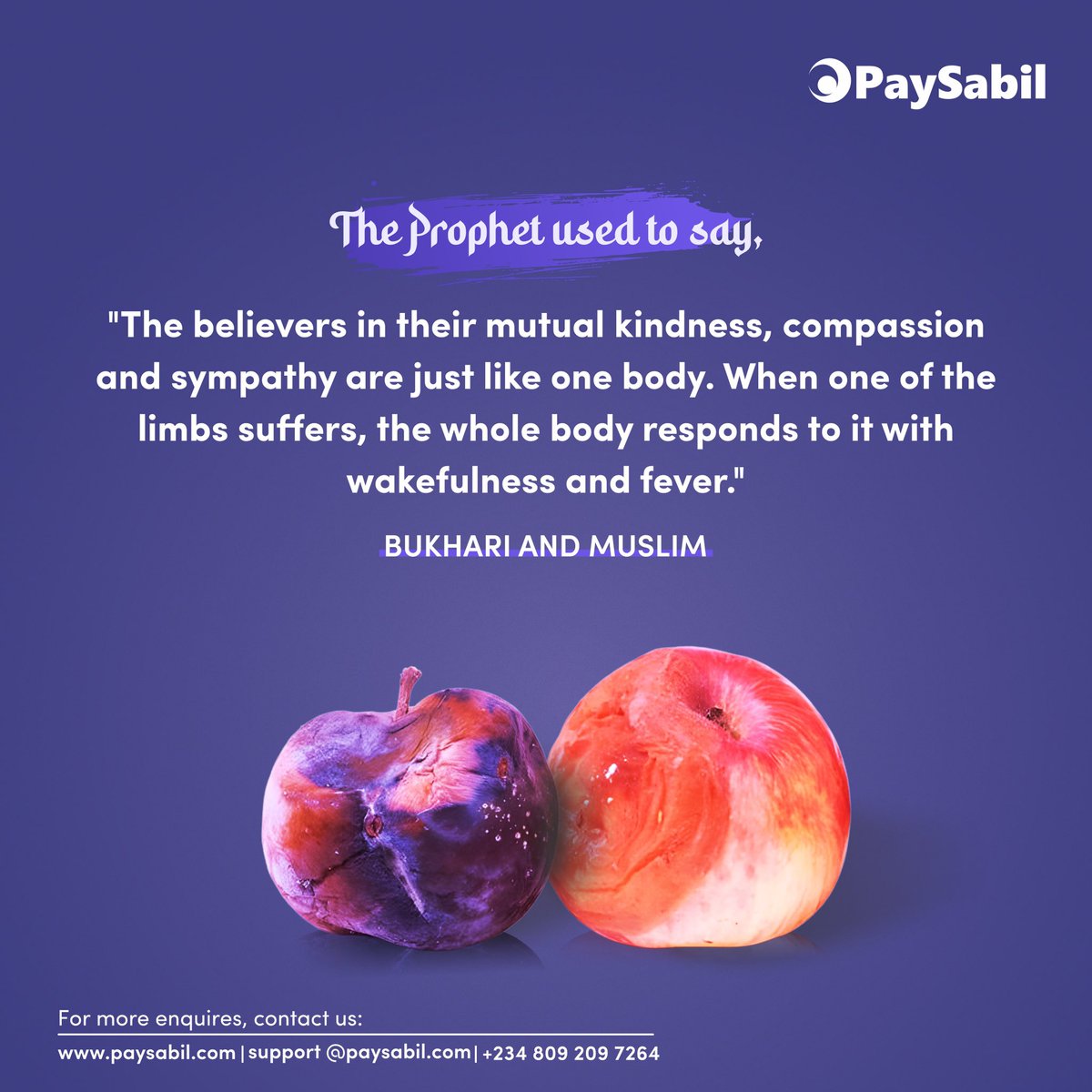 paysabil's tweet photo. We as an Ummah are connected like one body! 
Ma Sha Allah

-Bukhari &amp; Muslim 
.
.
.

#paysabil #dua #supplication #guidance #connection #Allah #worship #connection #ummah #oneummah #muslimummah #gaza #palestine https://t.co/QHeDRvjcLn