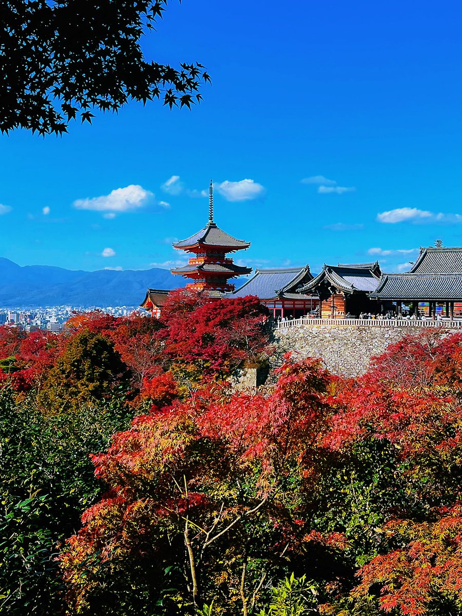jjaattgg's tweet photo. 当秋天遇上古都，仿佛有了生命，秋韵无穷，诗意无边。⛩️
#traveling #travelphotography #AutumnBeauty #japan #KyotoCommunity #CanadaCommunity 
#NaturalBeauty 
#nature摄影会 https://t.co/tBOjG023JC