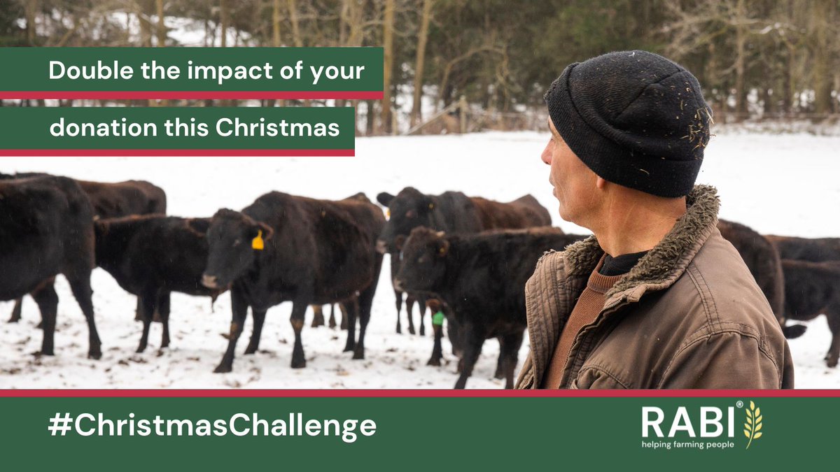 Winter can be an especially difficult time for many members of the farming community.

With the @BigGiveOrg #ChristmasChallenge, you can double your donation's impact.

Donate at bit.ly/RABIBigGive from Nov 28 to Dec 5 to have your gift go twice as far.

#RABIChristmasAppeal